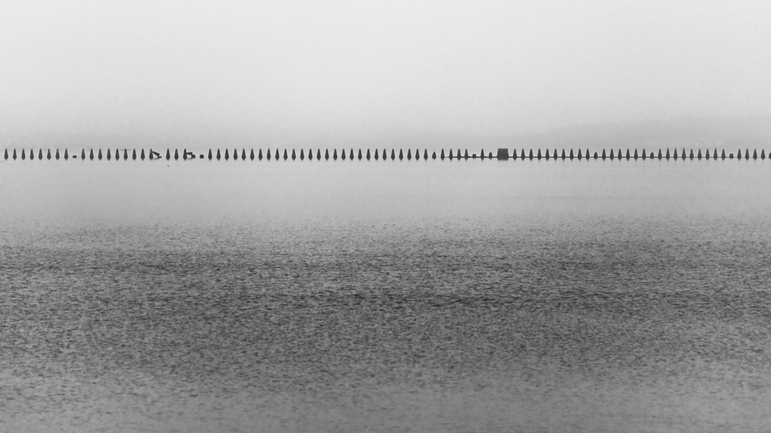 This minimalist dark mistic photography, taken on a foggy morning, immerses us in a world of grayscale serenity.